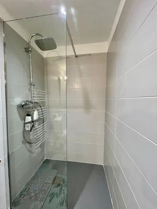 Appartement Confort - Carcassonne Centre Zewnętrze zdjęcie